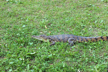 Similar image 2957454