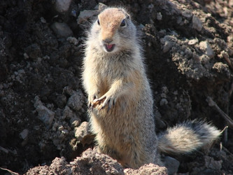 Similar image 2957456