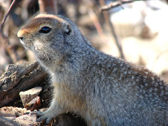 Similar image 2957458