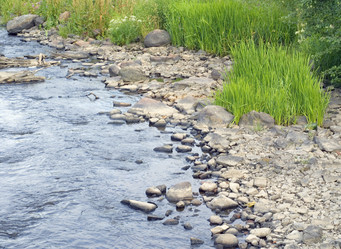 Similar image 2957471