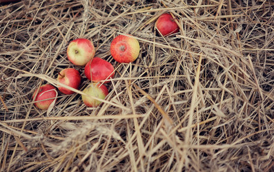 Similar image 2957476