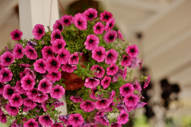 Similar image 2957479