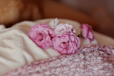 Similar image 2957480