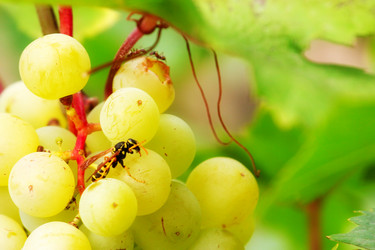 Similar image 2957622