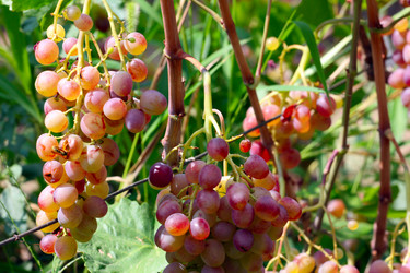 Similar image 2957625