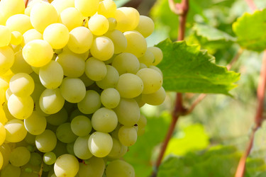 Similar image 2957626