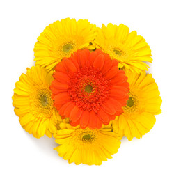 Similar image 2957649