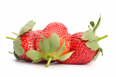 Similar image 2957651