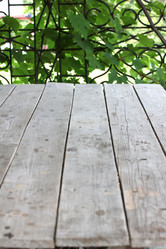 Similar image 2957665