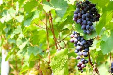 Similar image 2957687