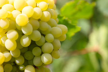 Similar image 2957688