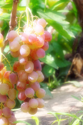 Similar image 2957691