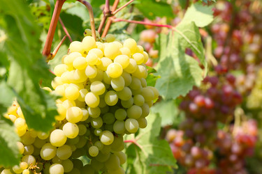 Similar image 2957692