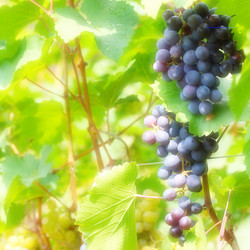 Similar image 2957693