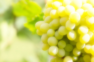 Similar image 2957694