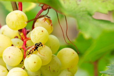 Similar image 2957697