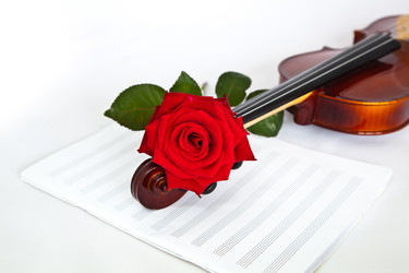 Similar image 2957966