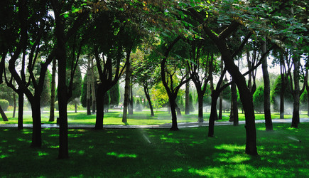 Similar image 2958004