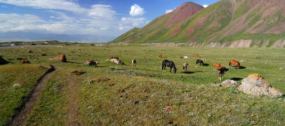 Similar image 2958005