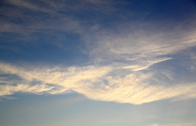 Similar image 2958049