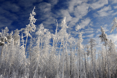 Similar image 2958089