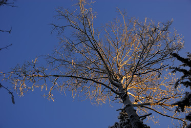 Similar image 2958090