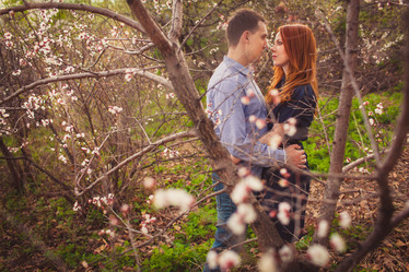 Similar image 2958237