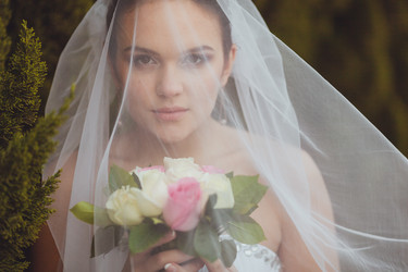 Similar image 2958273