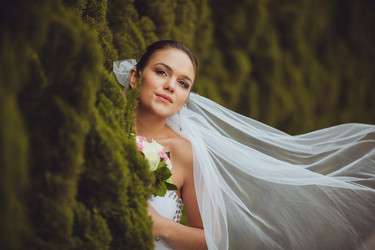 Similar image 2958275