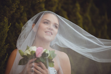 Similar image 2958277