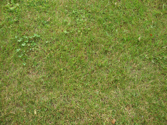 Similar image 2958594