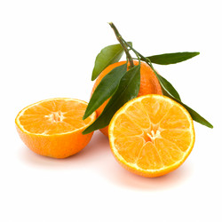 Similar image 2958722