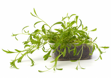 Similar image 2958727