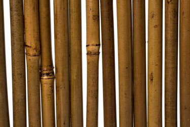 Similar image 2958740