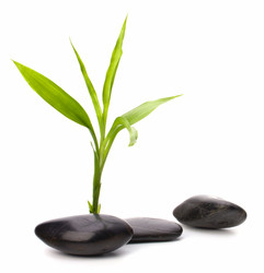 Similar image 2958750