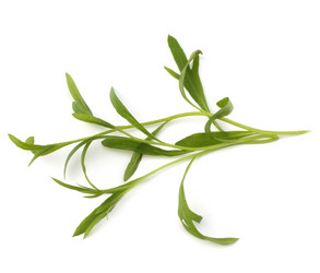 Similar image 2958753