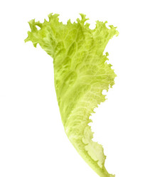 Similar image 2958758