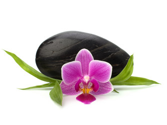 Similar image 2958761