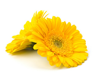 Similar image 2958766