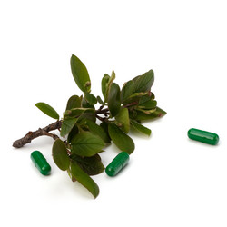 Similar image 2958774