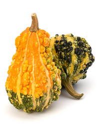 Similar image 2958784