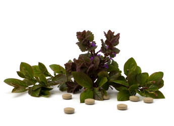 Similar image 2958787