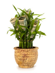 Similar image 2958791