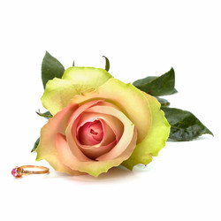 Similar image 2958796