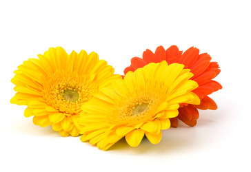 Similar image 2958819