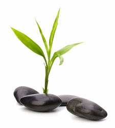 Similar image 2958824