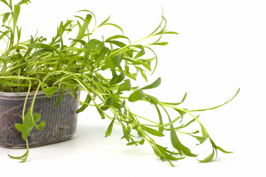 Similar image 2958838