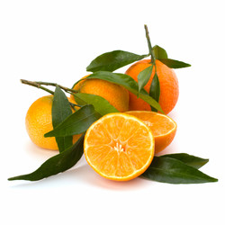 Similar image 2958845