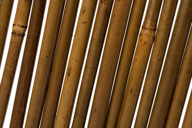 Similar image 2958861