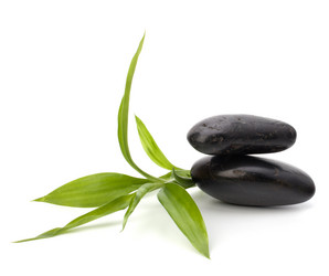 Similar image 2958862